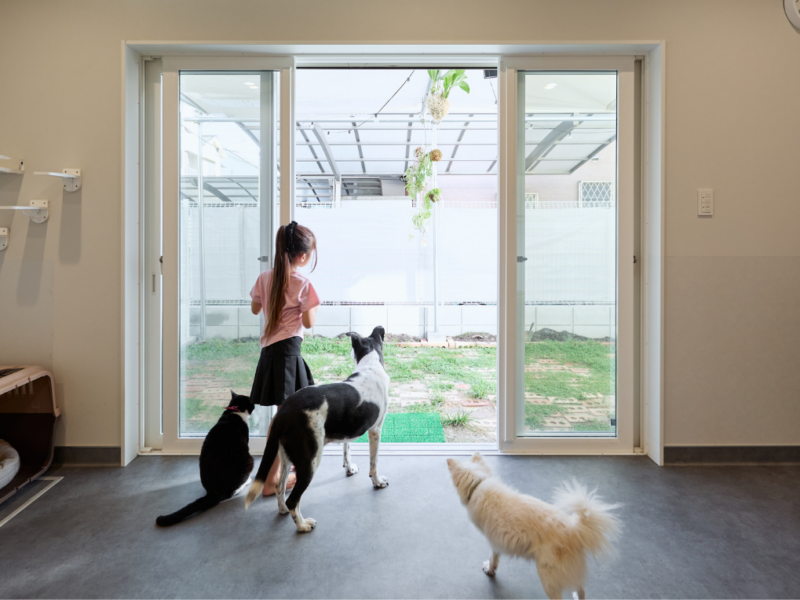 仕事も暮らしも心地よく。犬の幼稚園がある家